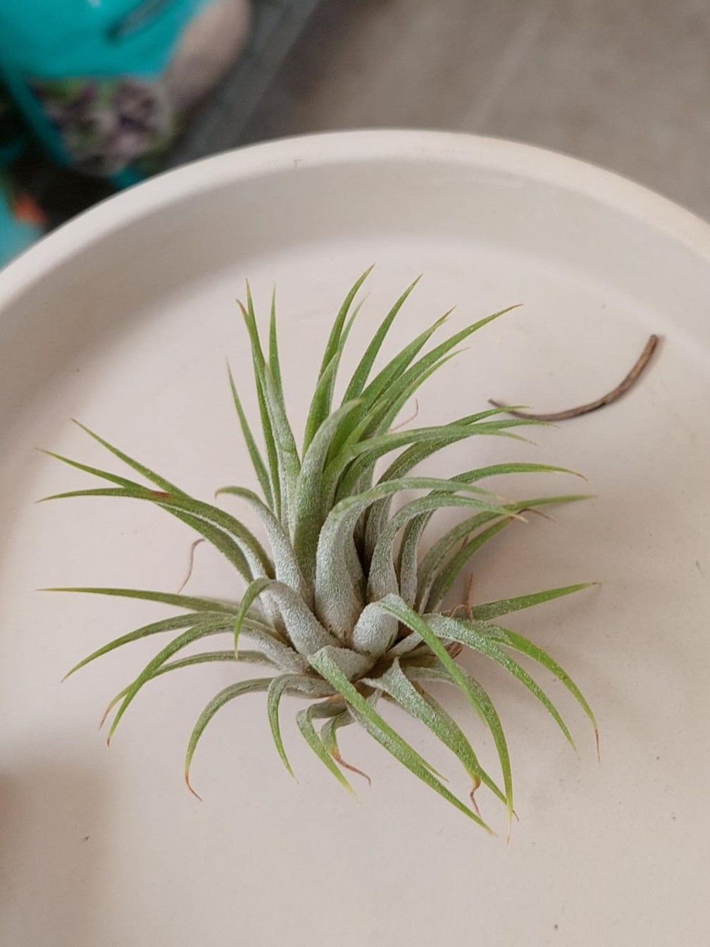 20220728_103435 (002)