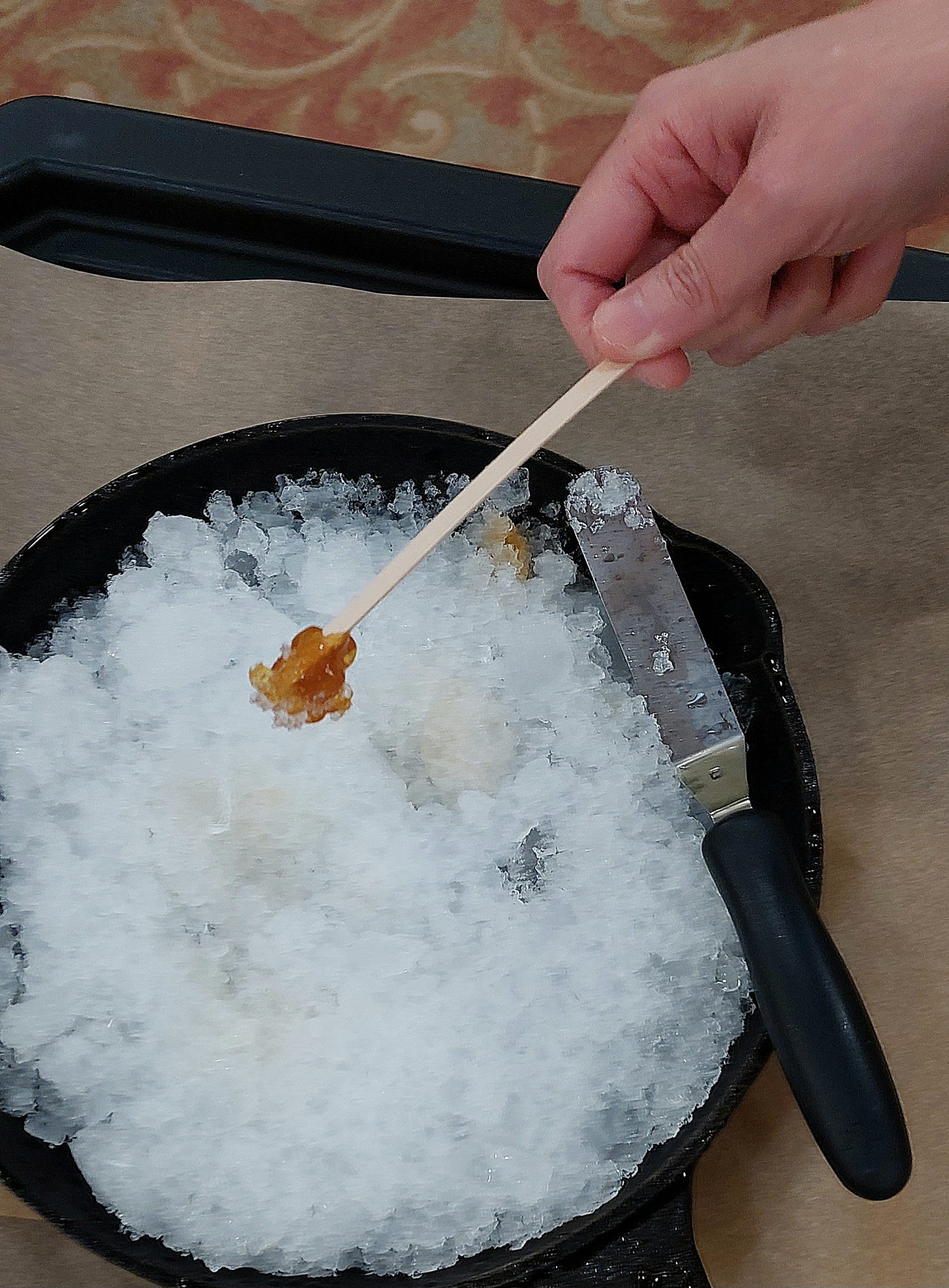 Maple on Snow - Workshop