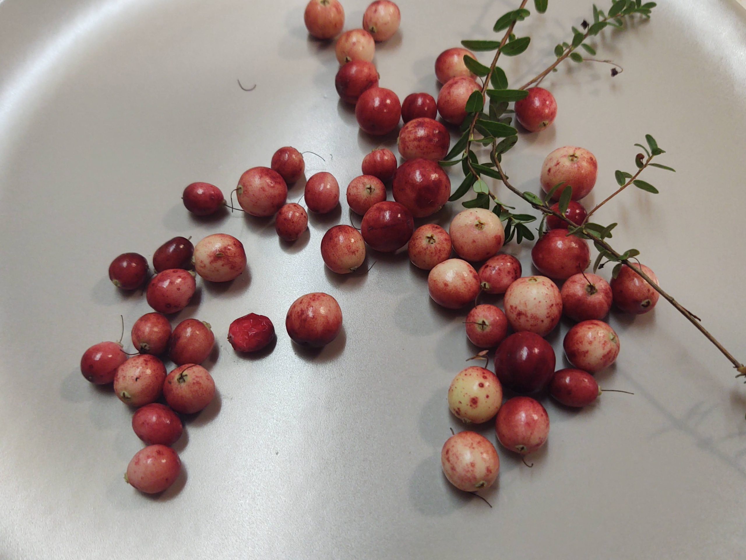 IMG_20221007_223940090_BURST000_COVER_COMP IMG_20221007_223940090_BURST000_COVER_COMP