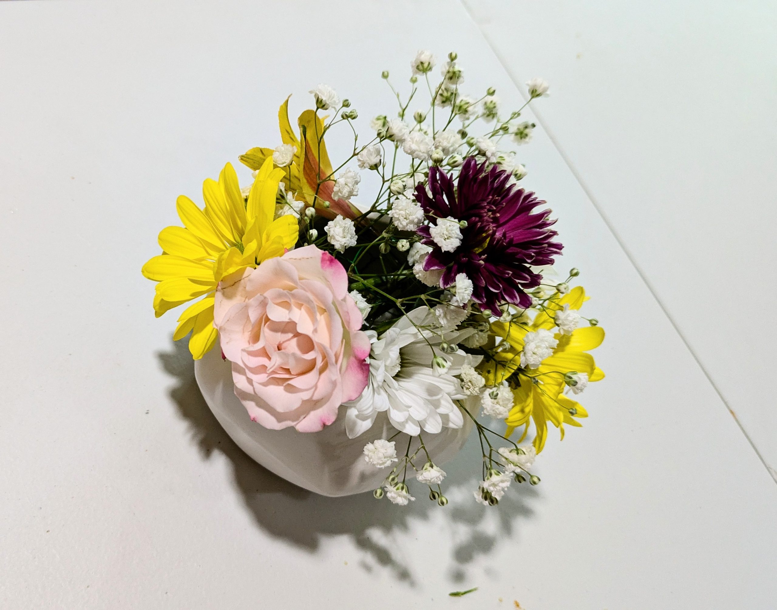 PXL_20250805_194204574~2 PXL_20250805_194204574~2