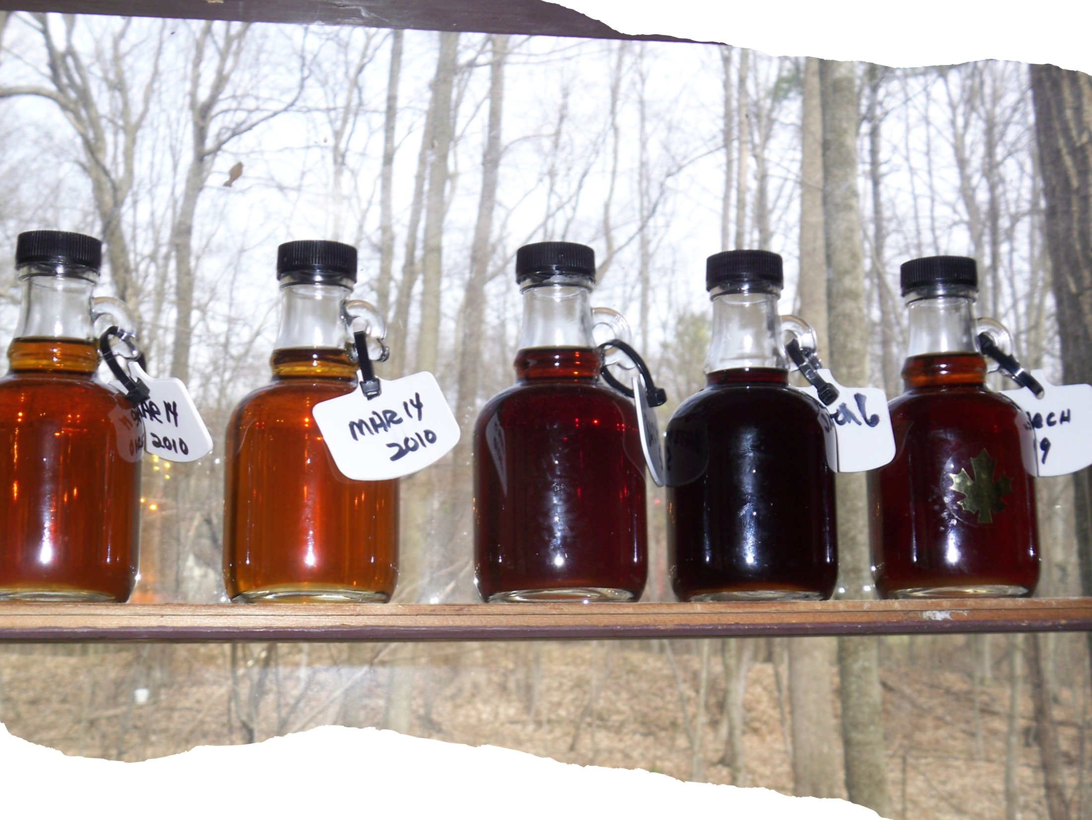 Portable Sugar Shack - Demonstration