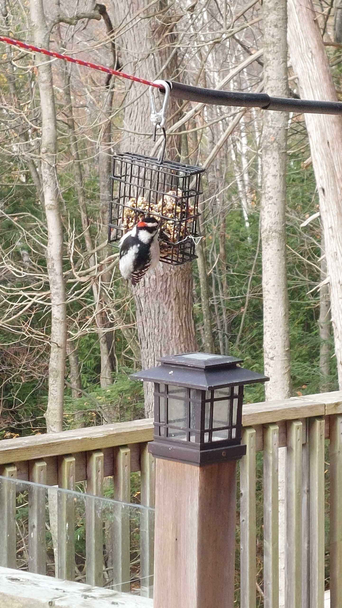 20221027_120928 20221027_120928